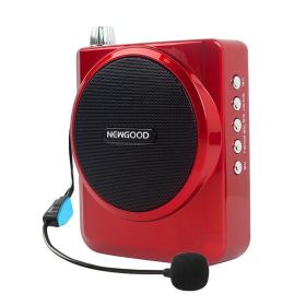 High-power speaker amplifier (Option: Red-USB)